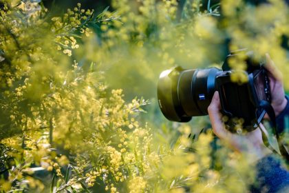 découvrez l'art de la photographie à travers nos conseils, astuces et inspirations. capturez des moments uniques, explorez les techniques de prise de vue et partagez votre passion pour la photographie.