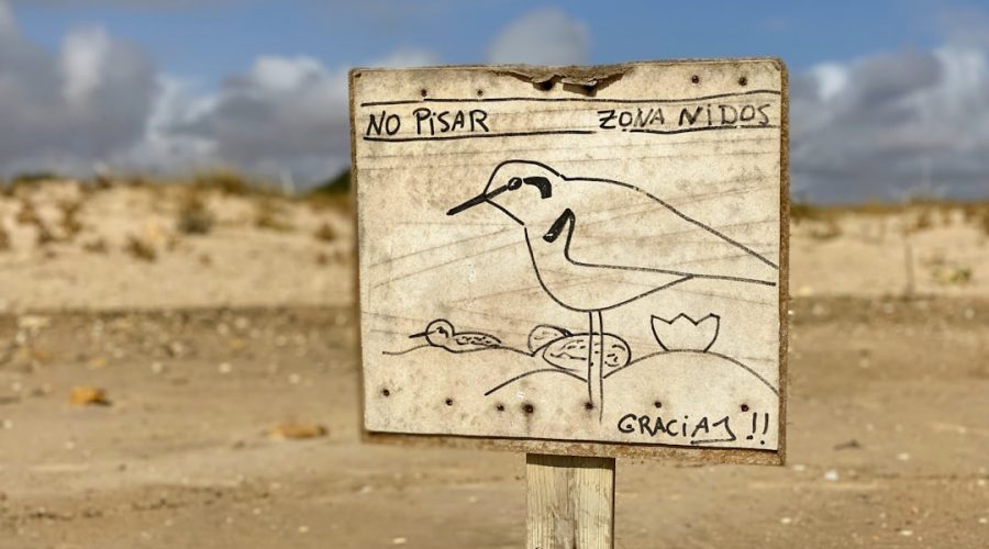 découvrez des initiatives écologiques innovantes et inspirantes qui favorisent la durabilité et la protection de notre planète. rejoignez le mouvement vers un avenir plus vert avec des conseils pratiques et des projets à impact positif.