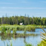 découvrez l'importance de la biodiversité pour notre planète : des écosystèmes sains aux bienfaits pour l'humanité, explorez comment chaque espèce joue un rôle essentiel dans l'équilibre de la nature.