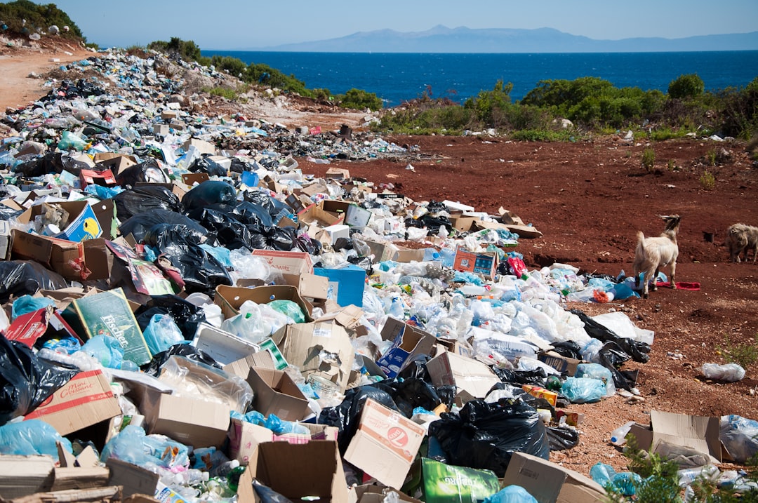 découvrez les enjeux du changement climatique, ses impacts sur notre planète et les actions que nous pouvons entreprendre pour lutter contre cette crise environnementale. informez-vous sur les solutions durables et engagez-vous pour un avenir plus vert.