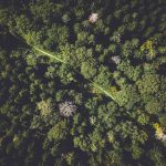 découvrez le monde fascinant de l'écologie, une science essentielle qui étudie les interactions entre les êtres vivants et leur environnement. apprenez comment préserver notre planète et encourager un développement durable pour les générations futures.