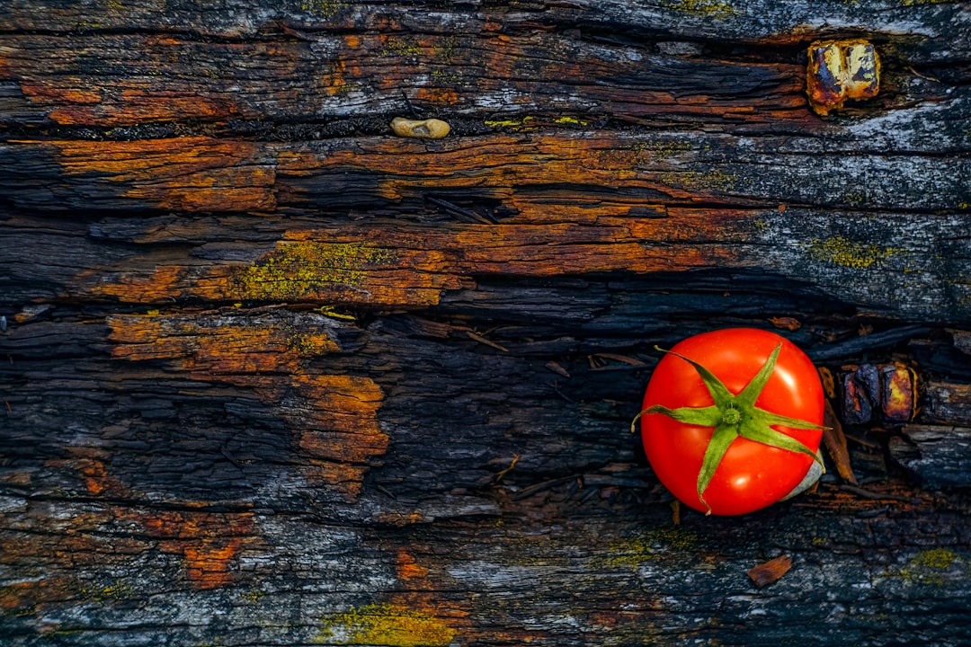 découvrez l'univers fascinant de la gastronomie où saveurs, techniques culinaires et traditions se rencontrent. explorez des recettes délicieuses, des conseils de chefs et l'histoire des plats emblématiques pour éveiller vos papilles.