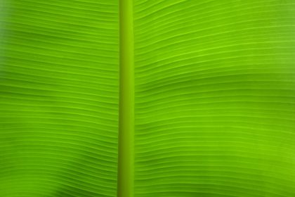 découvrez les espaces verts cachés de votre ville, des oasis de tranquillité et de nature à explorer pour échapper au tumulte urbain. idéal pour les promenades, le pique-nique ou la méditation, ces jardins secrets vous invitent à vous ressourcer dans un cadre apaisant.