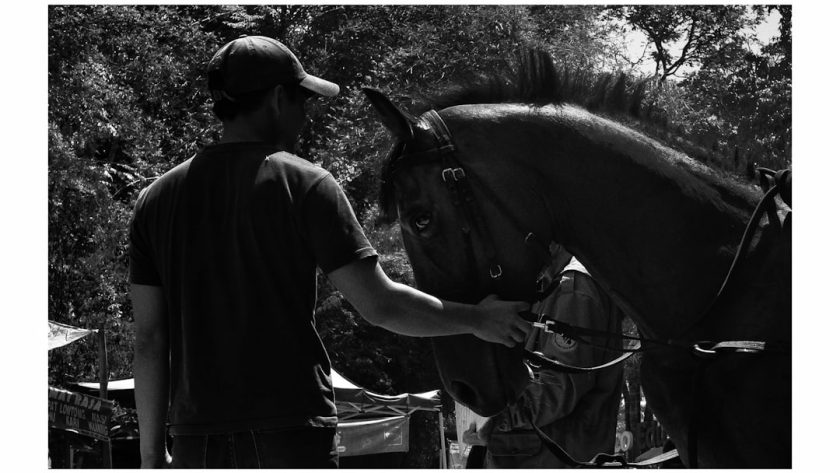 découvrez la richesse et la diversité de la culture locale à travers des événements, des traditions et des pratiques uniques qui font vibrer notre communauté. plongez dans l'art, la musique, et la gastronomie qui illustrent l'identité de notre région.