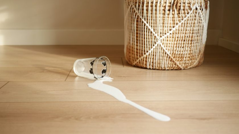 découvrez les meilleurs endroits pour pique-niquer en pleine nature. que vous cherchiez un cadre paisible près d'un lac ou un parc animé en ville, trouvez l'endroit idéal pour savourer un repas en plein air et profiter de moments conviviaux avec vos proches.