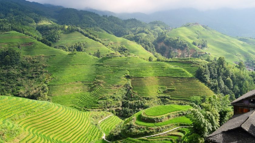 découvrez l'art de profiter de l'extérieur avec nos terrasses. inspirez-vous de designs modernes, d'idées d'aménagement et d'astuces pour transformer votre espace extérieur en un véritable havre de paix. que ce soit pour des repas en plein air ou des moments de détente, apprenez à créer la terrasse de vos rêves.