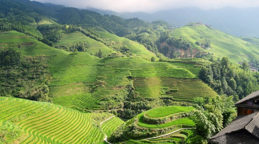 découvrez l'art de profiter de l'extérieur avec nos terrasses. inspirez-vous de designs modernes, d'idées d'aménagement et d'astuces pour transformer votre espace extérieur en un véritable havre de paix. que ce soit pour des repas en plein air ou des moments de détente, apprenez à créer la terrasse de vos rêves.