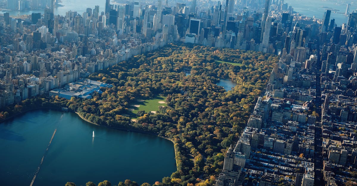 découvrez les plus beaux parcs à travers le monde, des espaces naturels apaisants aux jardins urbains, idéaux pour se détendre, se promener ou s'amuser en famille. explorez la biodiversité et les activités proposées dans ces havres de paix.