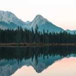 découvrez l'univers des parcs, des espaces verts où se mêlent nature, loisirs et détente. profitez d'activités en plein air, de balades tranquilles et de moments en famille dans des lieux enchanteurs.