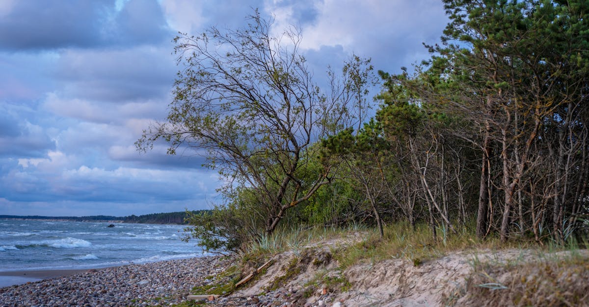 découvrez les plus beaux parcs du monde : lieux de détente, activités en plein air, et paysages naturels à couper le souffle. que vous soyez passionné de nature ou à la recherche d'une escapade paisible, explorez nos guides pour profiter pleinement de chaque parc.