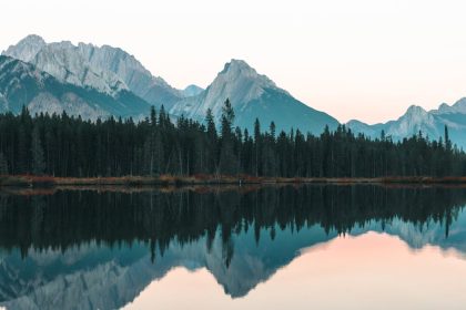 découvrez l'univers des parcs, des espaces verts où se mêlent nature, loisirs et détente. profitez d'activités en plein air, de balades tranquilles et de moments en famille dans des lieux enchanteurs.