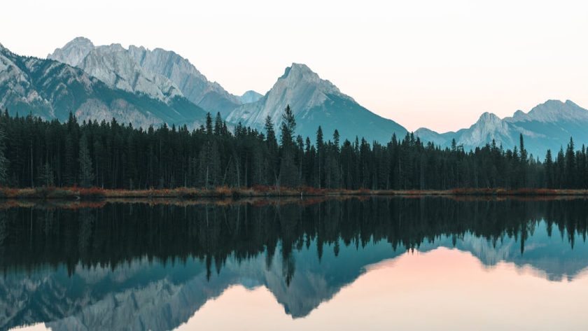 découvrez l'univers des parcs, des espaces verts où se mêlent nature, loisirs et détente. profitez d'activités en plein air, de balades tranquilles et de moments en famille dans des lieux enchanteurs.