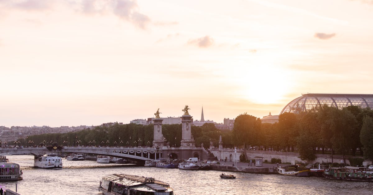 découvrez la seine, ce majestueux fleuve qui traverse paris et offre des vues imprenables sur ses monuments emblématiques. explorez ses rives pittoresques, ses bateaux-mouches et ses charmants quartiers, tout en profitant d'une atmosphère romantique unique.