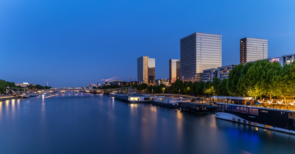 découvrez la beauté et l'histoire de la seine, ce fleuve emblématique qui traverse paris et inspire des artistes depuis des siècles. explorez ses rives, ses secrets et les activités à y faire pour un moment inoubliable.