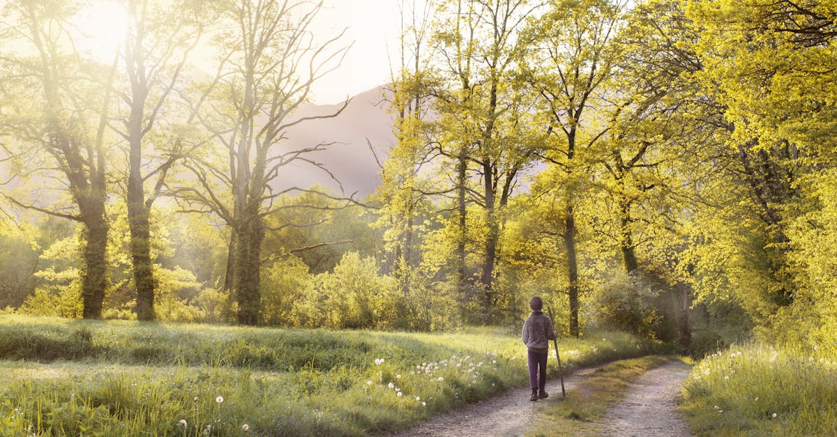 découvrez les bienfaits de la marche quotidienne : une activité simple et accessible qui améliore votre santé physique et mentale, tout en vous permettant d'explorer la nature et de vous reconnecter avec vous-même.