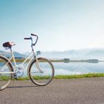 découvrez l'univers fascinant du vélo : ses avantages pour la santé, l'environnement, et les différentes pratiques cyclistes. que vous soyez un passionné ou un novice, plongez dans nos conseils, astuces et tendances pour profiter pleinement de vos balades à deux roues.