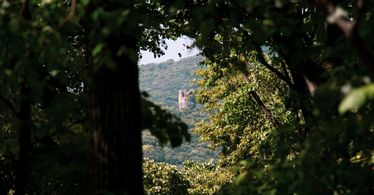 découvrez des sites cachés et méconnus qui offrent une expérience unique. explorez des trésors cachés, des lieux secrets et des destinations inattendues qui méritent d'être visités.