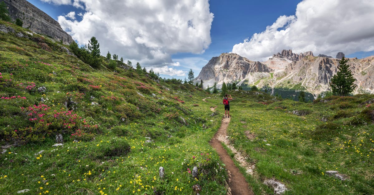 découvrez des sentiers de randonnée époustouflants, explorez la nature et vivez des aventures inoubliables. que vous soyez débutant ou randonneur expérimenté, trouvez des astuces, des conseils et des itinéraires pour profiter pleinement de votre passion pour la randonnée.
