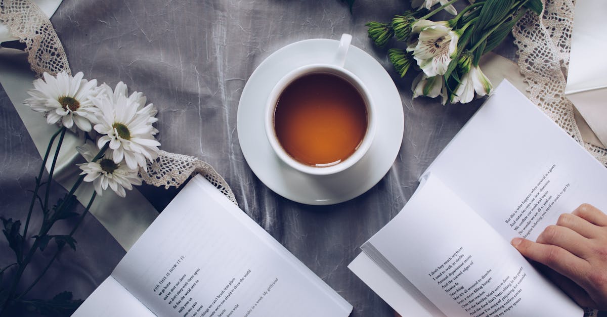 découvrez l'univers fascinant des festivals littéraires, où passionnés de livres et auteurs se réunissent pour célébrer la littérature à travers des conférences, des ateliers et des rencontres. événements dynamiques, échanges enrichissants et découvertes littéraires vous attendent !