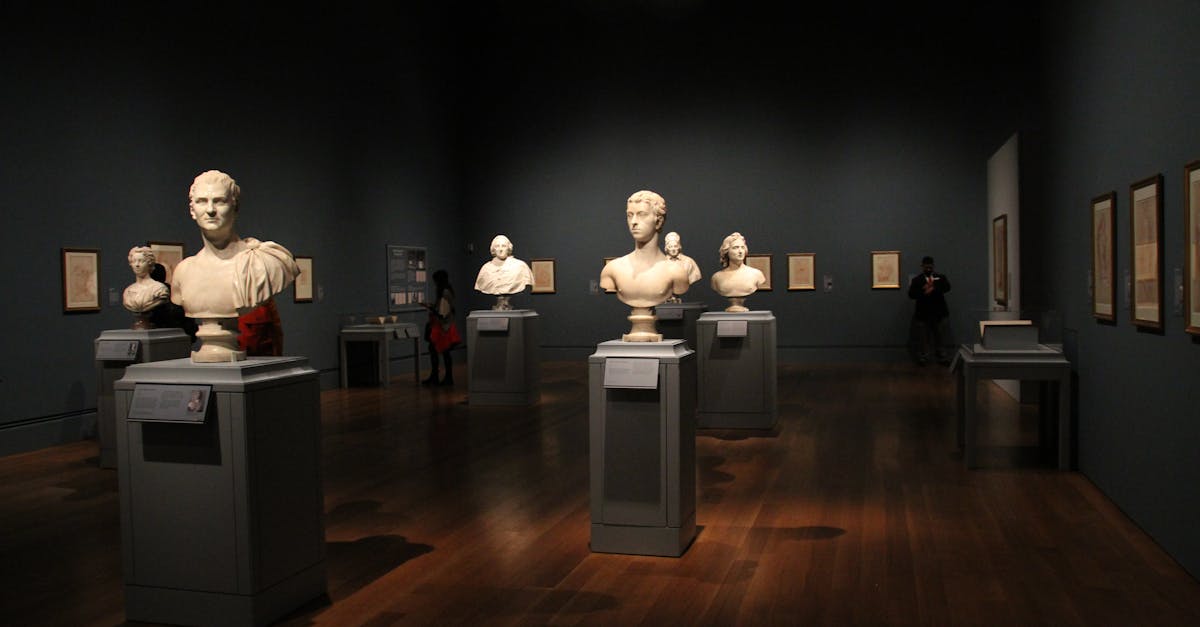 découvrez les musées fascinants qui dévoilent l'histoire, l'art et la culture à travers des collections uniques. explorez des expositions captivantes et enrichissez vos connaissances dans ces sanctuaires de la diversité humaine.