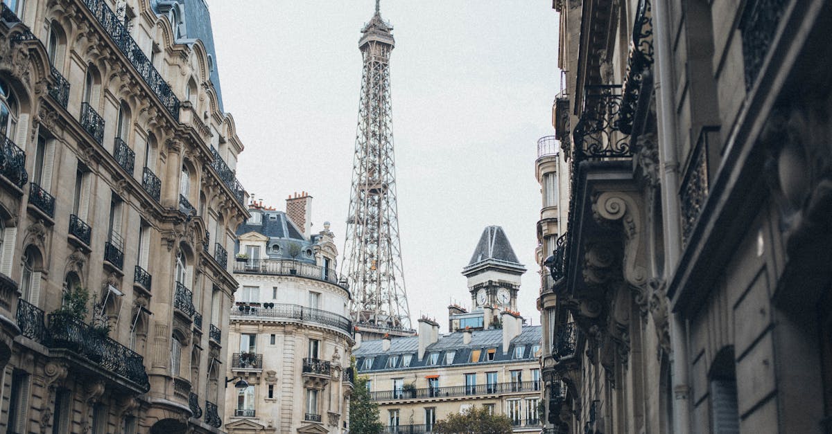 découvrez paris, la ville lumière, célèbre pour son art, sa culture, sa gastronomie et ses monuments emblématiques comme la tour eiffel et le louvre. explorez ses quartiers pittoresques, savourez des plats raffinés et plongez dans l'ambiance romantique de la capitale française.