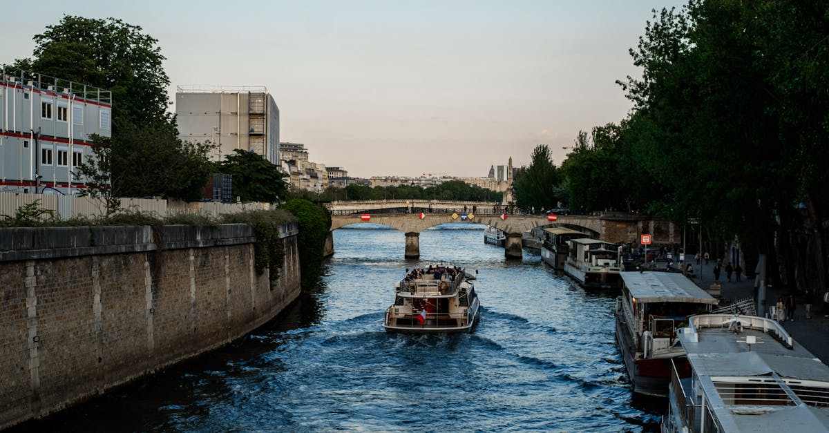 découvrez la magie des croisières sur la seine, offrant des vues imprenables sur les monuments parisiens emblématiques et une expérience inoubliable au fil de l'eau. réservez dès maintenant pour une aventure romantique et culturelle au cœur de paris.
