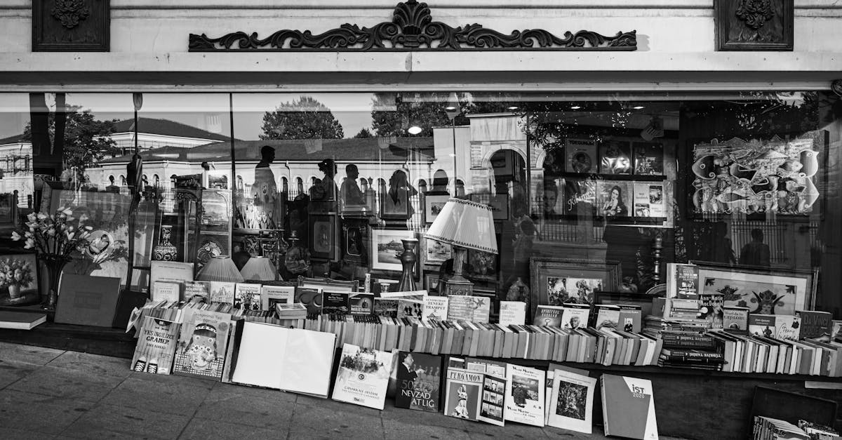 découvrez les meilleures librairies pour trouver livres neufs et d’occasion, conseils de lecture, nouveautés littéraires et événements culturels près de chez vous.