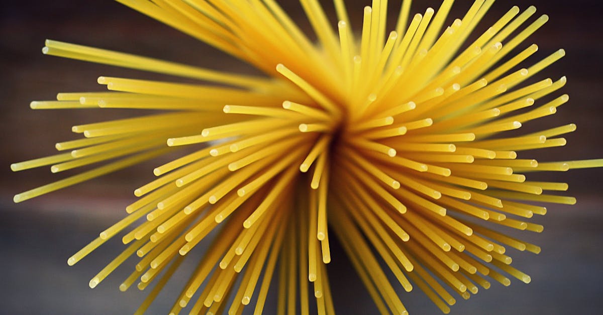 découvrez l'univers passionnant de la cuisine : techniques, recettes, inspirations et conseils pour élever votre art culinaire et ravir vos papilles au quotidien.