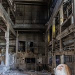 découvrez l’histoire industrielle à travers ses grandes révolutions, ses inventions majeures et l’évolution des sociétés. plongez dans un voyage à travers le temps pour comprendre l’impact de l’industrialisation sur le monde moderne.