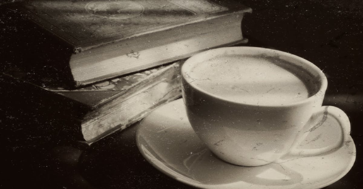 découvrez l'ambiance des cafés littéraires, ces lieux inspirants où se mêlent discussions passionnées, lectures, et amour de la littérature. idéal pour les amateurs de livres et d'échanges culturels.