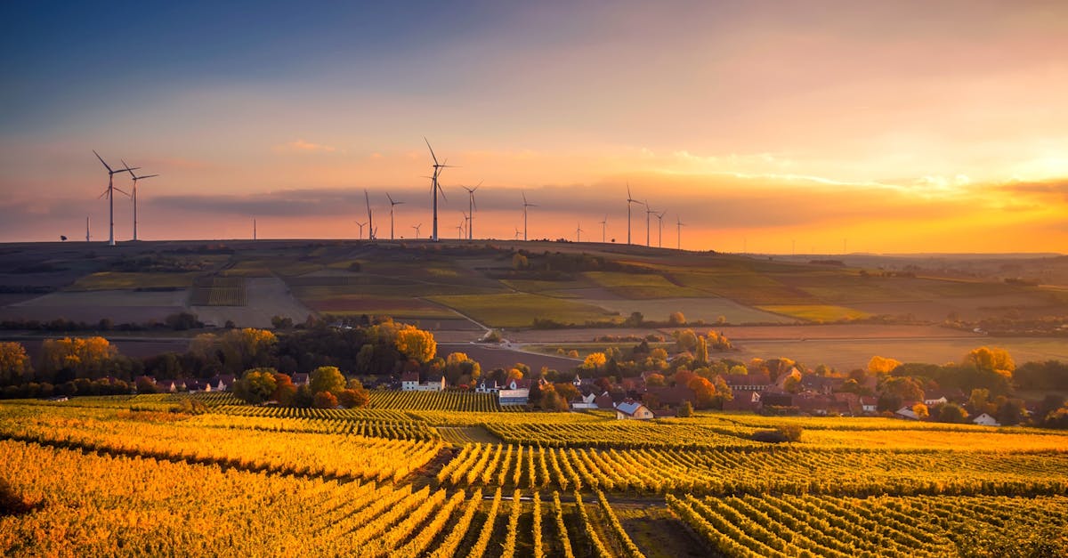 découvrez comment adopter des pratiques durables pour protéger l’environnement, réduire votre impact écologique et contribuer à un avenir responsable grâce à des conseils et solutions sur la sustainability.
