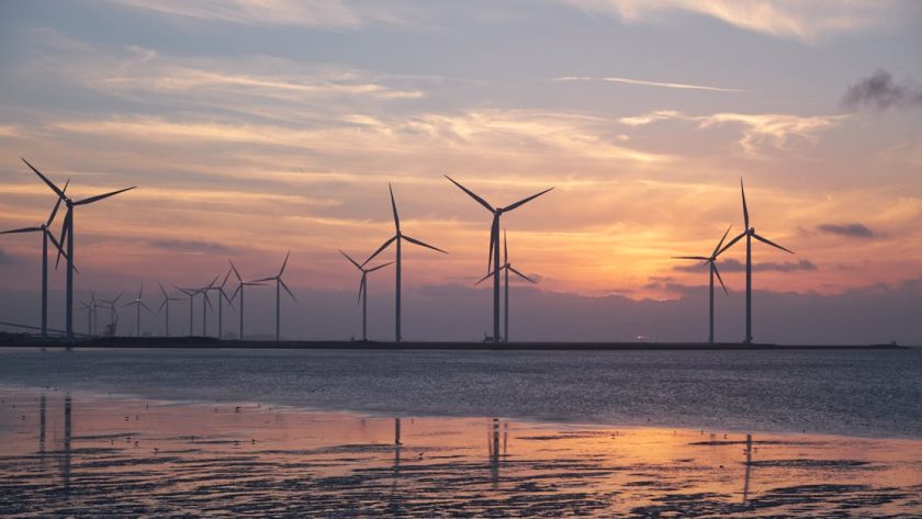 découvrez comment la durabilité transforme nos modes de vie et de consommation : enjeux, innovations et solutions pour un avenir respectueux de l’environnement.