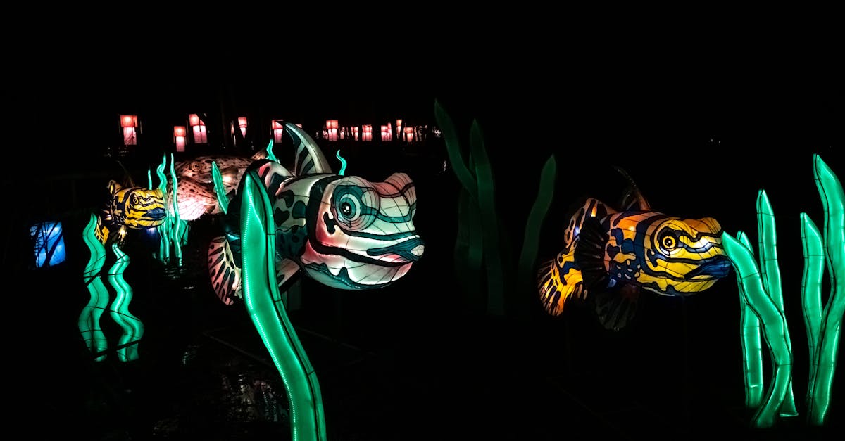 découvrez des visites nocturnes thématiques uniques pour explorer les lieux emblématiques sous un autre éclairage. profitez d'une expérience immersive en soirée, idéale pour les amateurs de découverte et d'aventure.